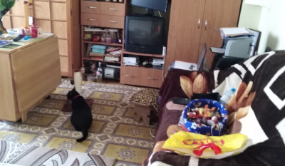 Apartment Image